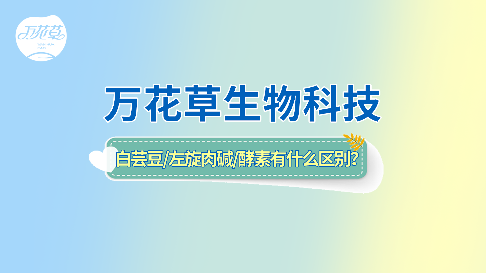 白蕓豆、左旋肉堿、嗨吃酵素有什么區(qū)別？