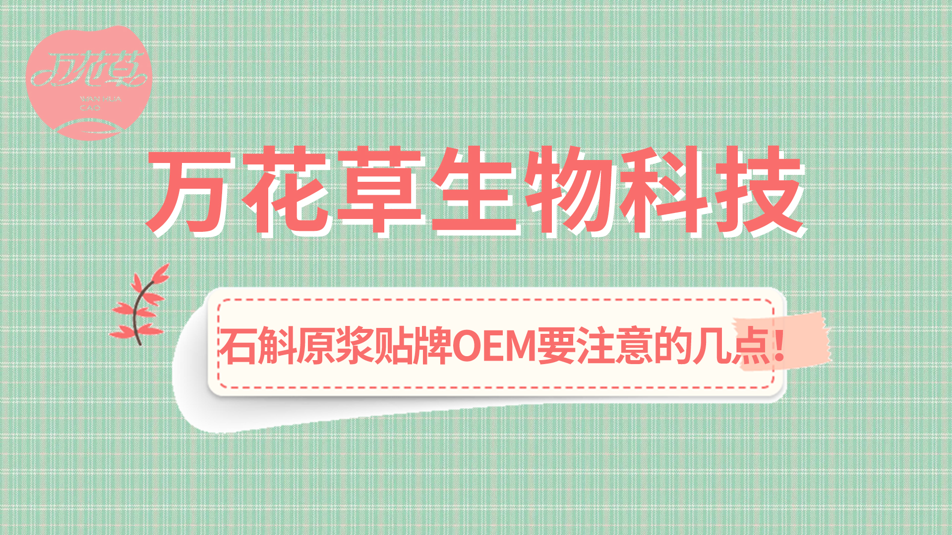 石斛原漿貼牌oem您需要注意哪幾點？